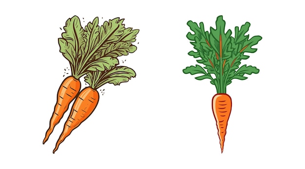 Carrot vegetable Cartoon vector illustration