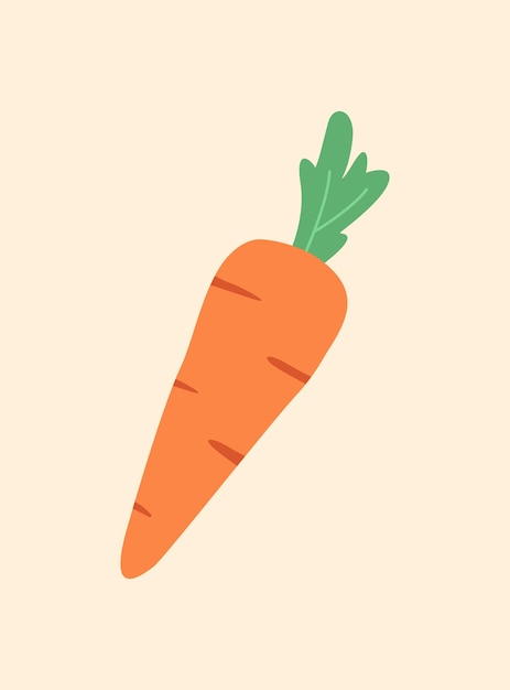 A Carrot Vegetable Flat Illustration