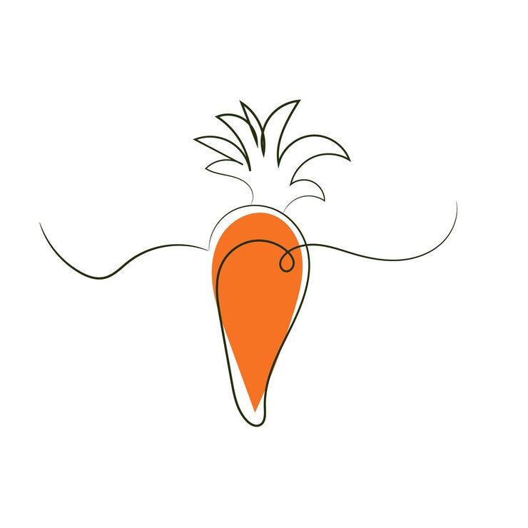 Vector carrot vegetable icon isolated white background