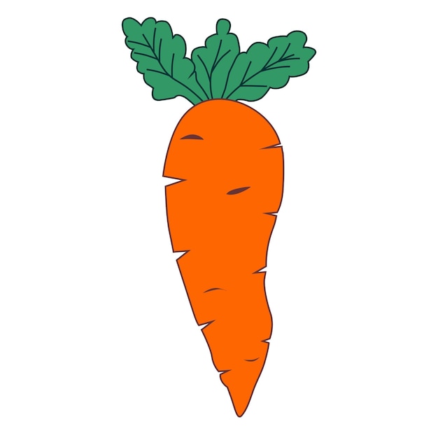 carrot vegetable icon