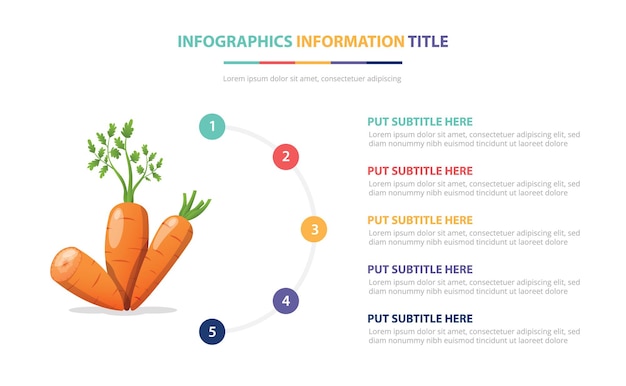 Carrot vegetables infographic template with   number description  illustration