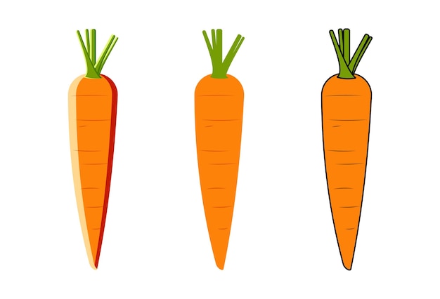 Vector carrot with vector style