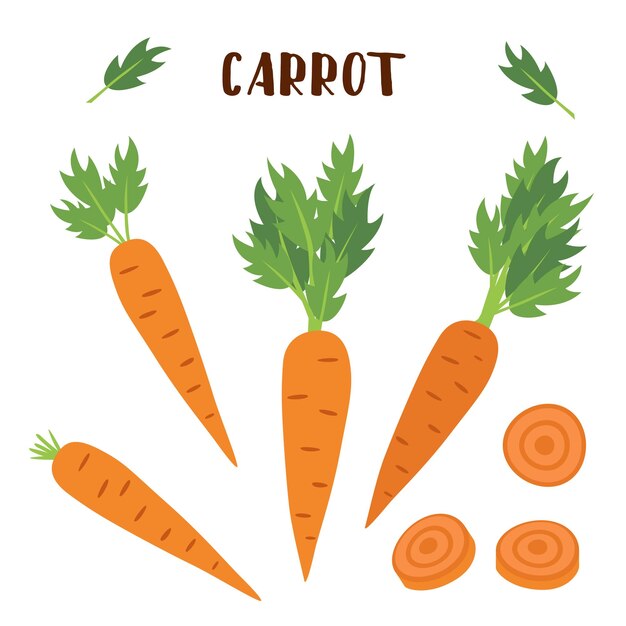 Carrot