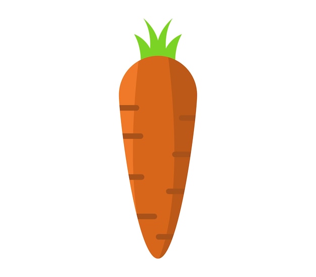 Carrot