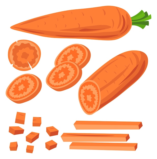 Vector carrots cut into pieces and sliced vegetables