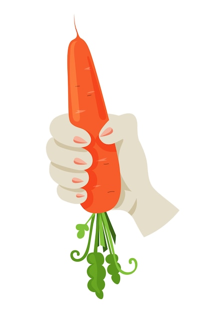 Carrots in a hare's paw Cartoon style