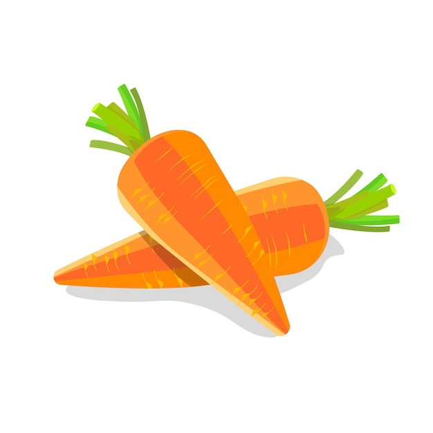 Вектор Морковь на белом фоне две моркови