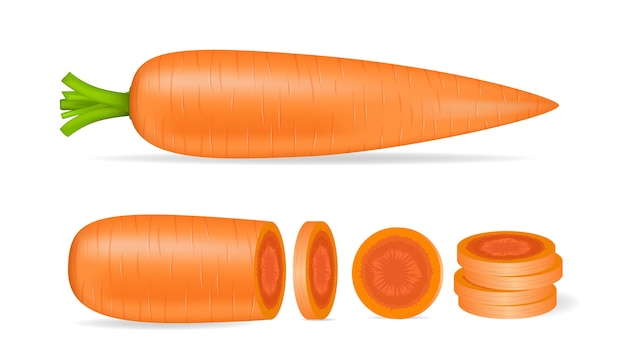 Carrots and slices isolated.