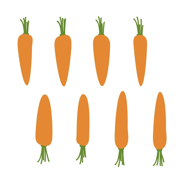 Vettore illustrazione vettoriale di carote