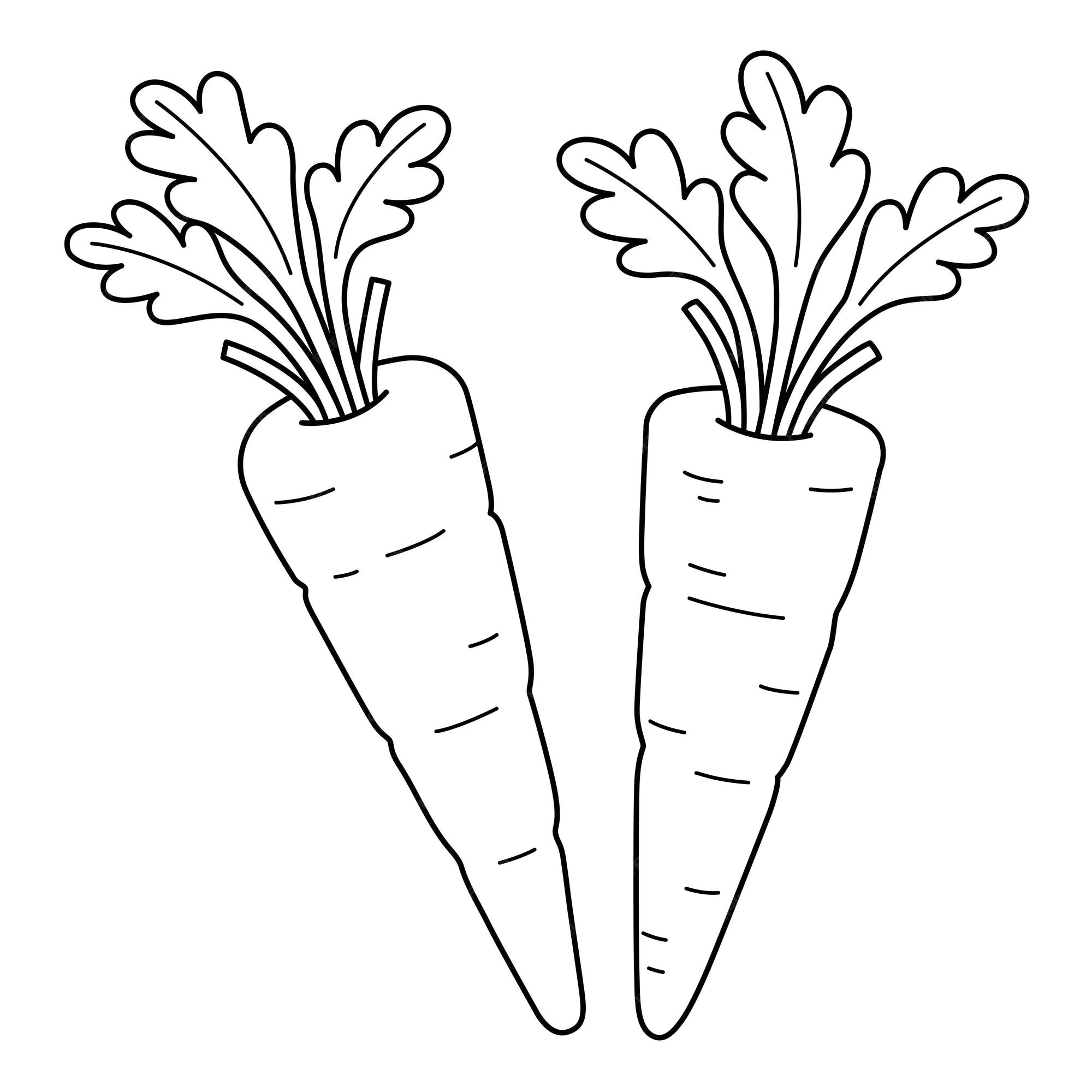 Premium Vector Carrots Vegetable Isolated Coloring Page For Kids premium-vector-carrots-vegetable-isolated-coloring-page-for-kids