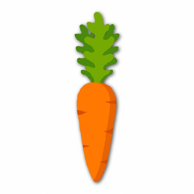 Vector carrots with green leaves