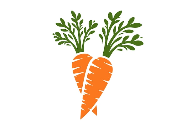 Vector carrots with green tops that are drawn on a white background