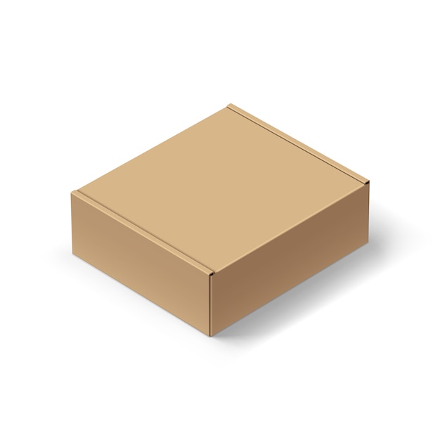 Vector carton box