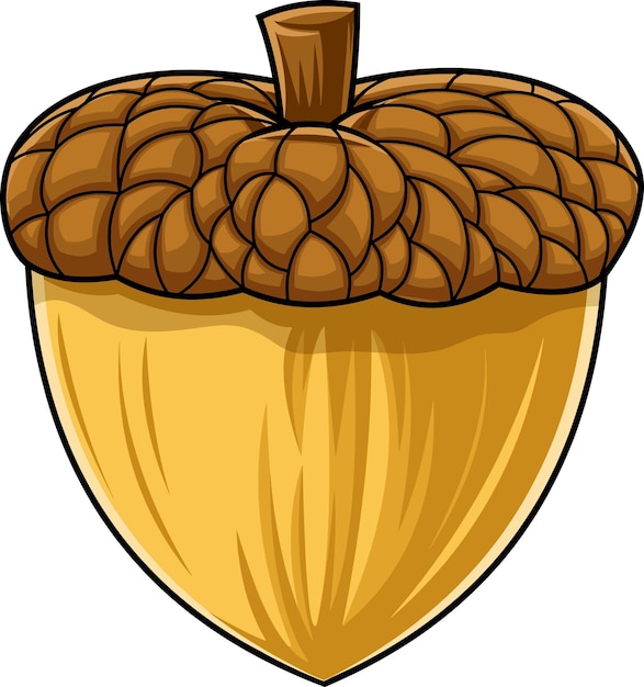 Cartoon Acorn In The Shell Vector Hand Drawn Illustration Isolated On White Background