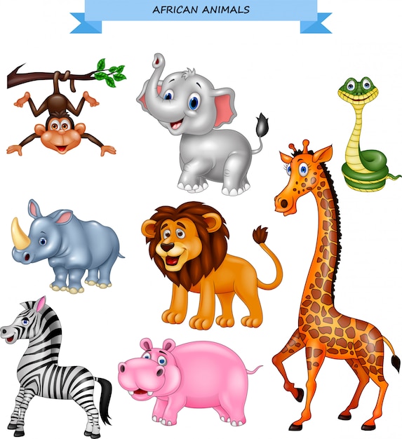 Vector cartoon african animals collection