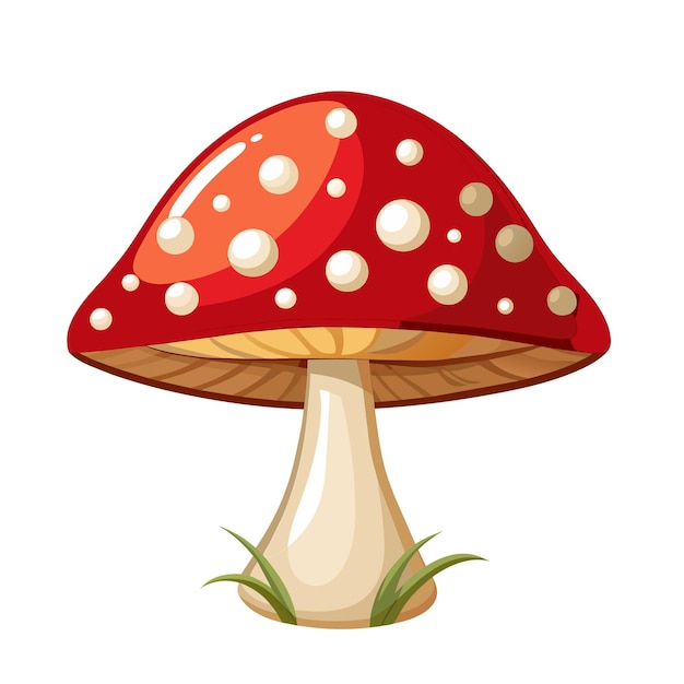 Cartoon Amanita muscaria fly agaric mushroom icon Wild forest mushrooms in autumn