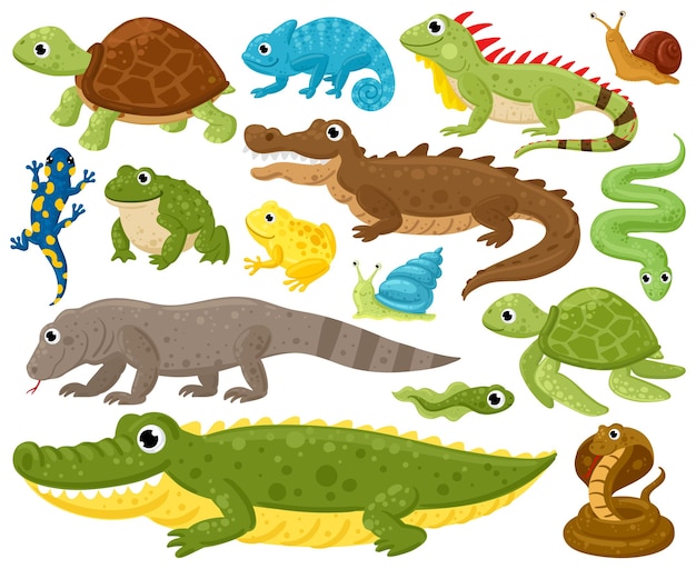 Cartoon amphibians and reptiles. serpent, reptile and\
amphibians, frog, iguana and python vector illustration set.\
wildlife reptiles and amphibians. reptile and amphibian lizard,\
animal wildlife