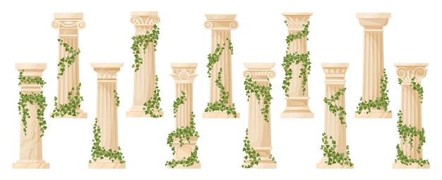 Vector cartoon ancient ivy covered greek column flat vector illustration set antique foliage