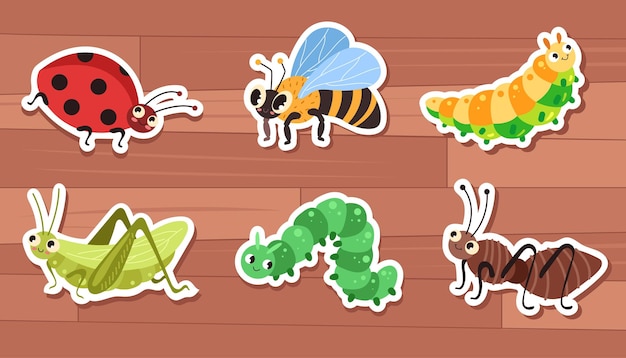 Vector cartoon animal insects beetle fly bugs stickers isolated set graphic design illustration