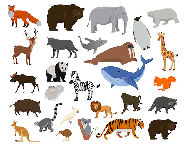 Vector cartoon animals. big collection sea animals, wild animals