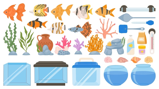 Cartoon aquarium fish food decoration tank tools and equipment Underwater seaweeds corals and seashells Aquarium accessory vector set Illustration of aquarium animal water and decoration