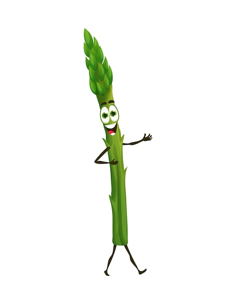 Vettore cartone animato asparagi cheto dieta cibo carattere cibo sano mascotte infantile nutrizione naturale o dieta cheto verdura matura vettore isolato carattere allegro o personaggio felice