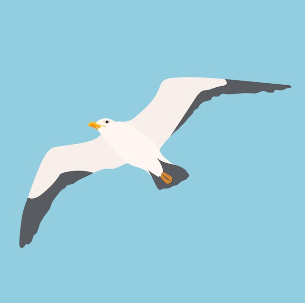 Vector cartoon atlantic seabird, seagulls flying. sea, ocean, gull, bird in a vector