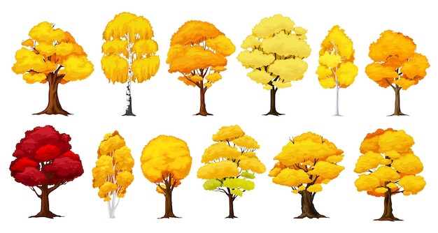 Vector cartoon autumn tree fall season forest or wood