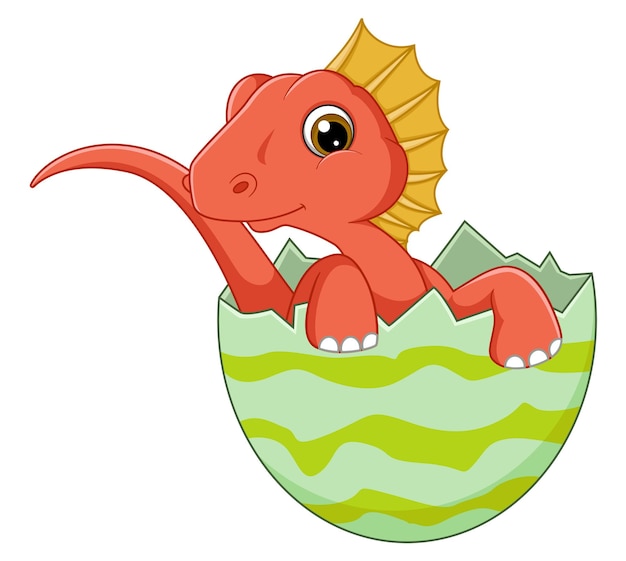 Vector cartoon baby amargasaurus hatching from egg