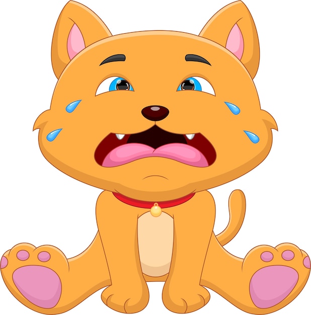 cartoon baby cat crying on white background