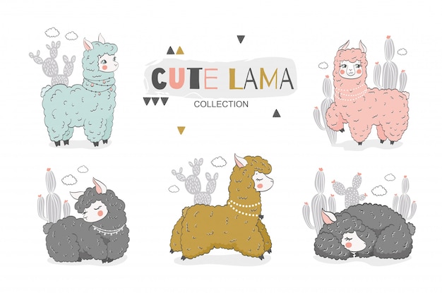 Vector cartoon baby llama collection. cute animal character. hand drawn illustration