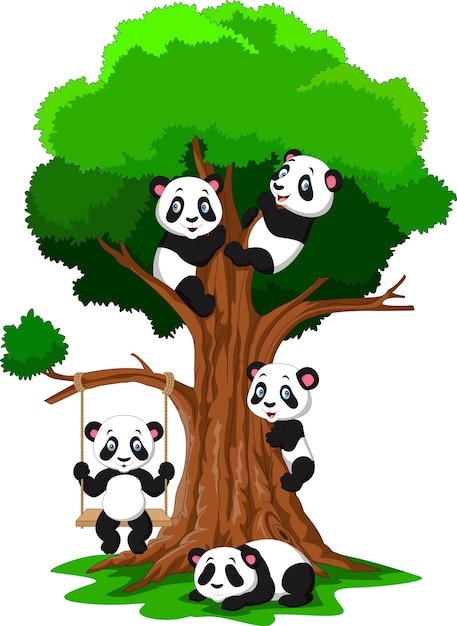 Vector cartoon baby pandad playing on a tree