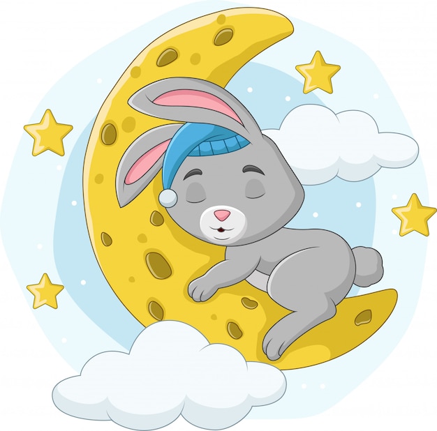 Vector cartoon baby rabbit sleeping on the moon