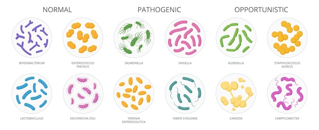 Cartoon bacteriën biologisch micro-organisme goede en slechte microbiota platte vector illustratie set