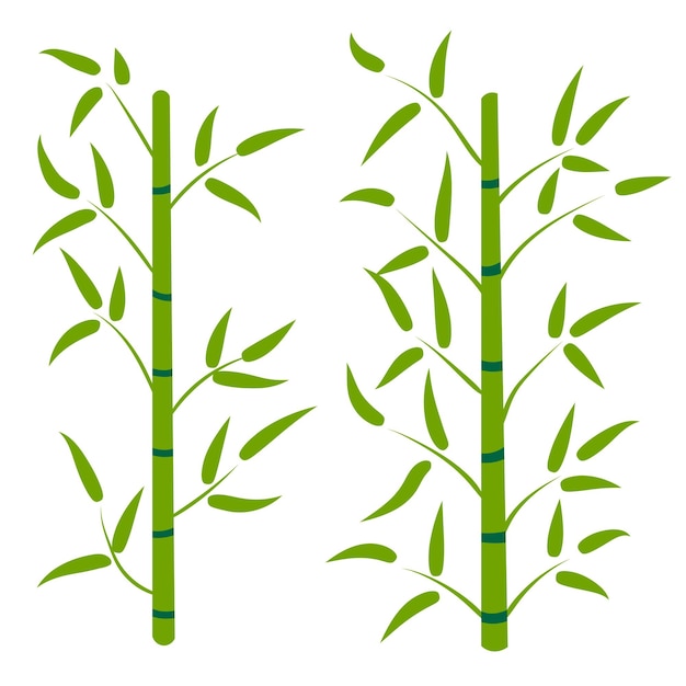 Vector cartoon bamboo forest tropical floral element for design nature rainforest in asia