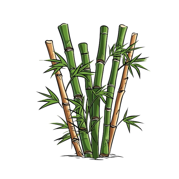 Cartoon bamboo on a white background hand drawn cartoon