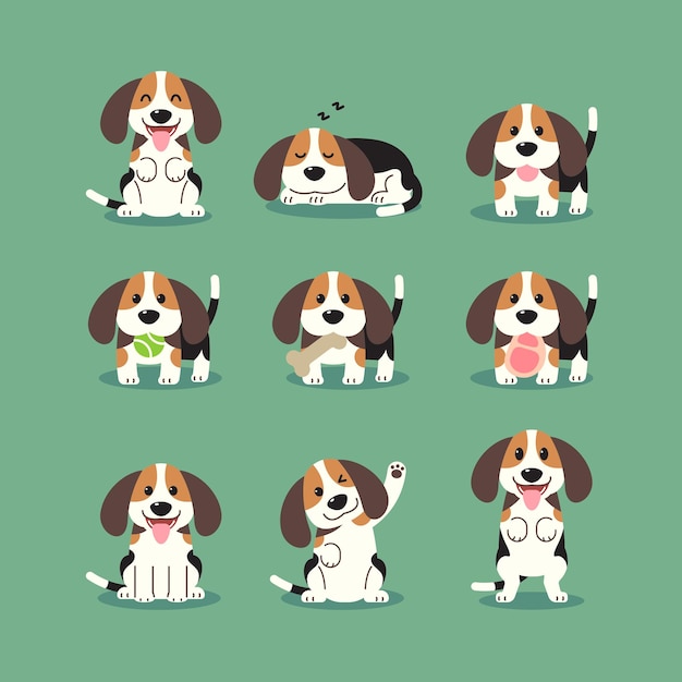 Vettore cuccioli di beagle dei cartoni animati in varie pose