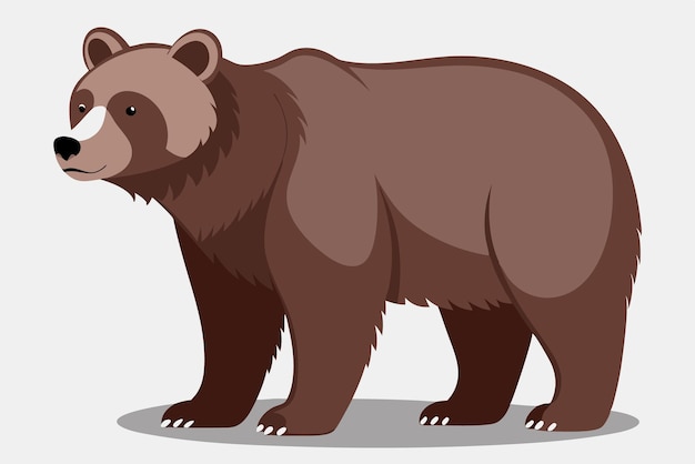 白い背景のクマの漫画