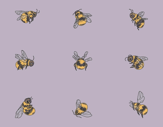 Cartoon bees icon set Honey Bee vector illustration