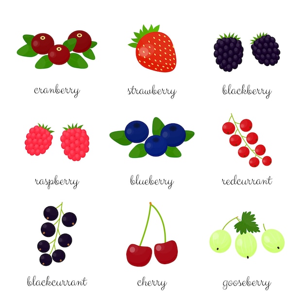 Vector cartoon berries set