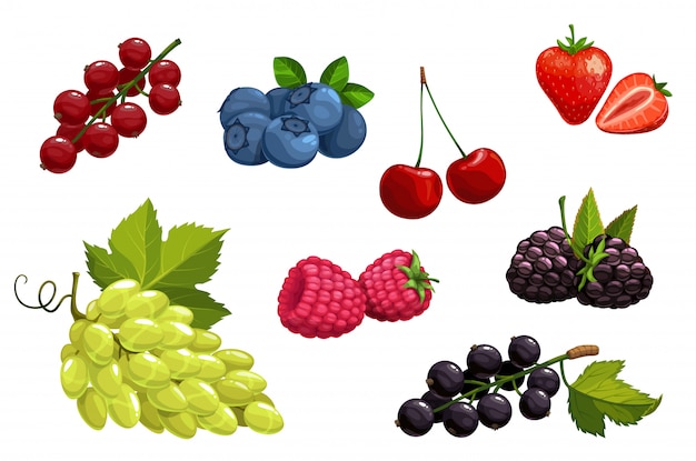 Vector cartoon berries  vegetarian nutrition set