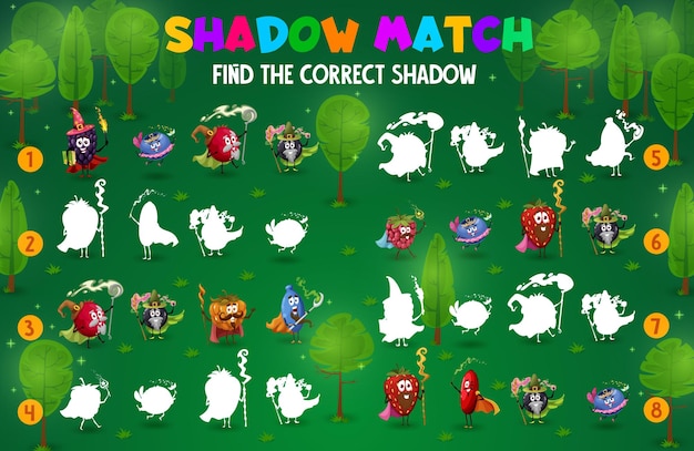 Vector cartoon berry wizard find correct shadow game