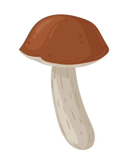 Vector cartoon birch mushroom seasonal organic food autumn forest plants mushroom flat vector illustration