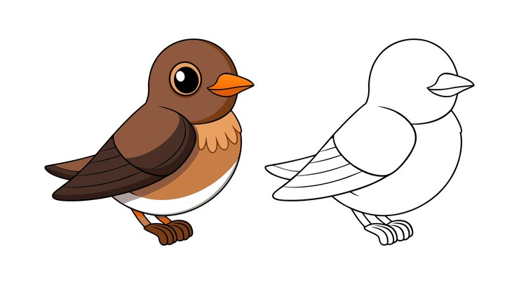 Vector cartoon bird illustration with coloring page outline