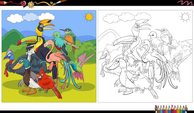 Cartoon birds animal characters group coloring page