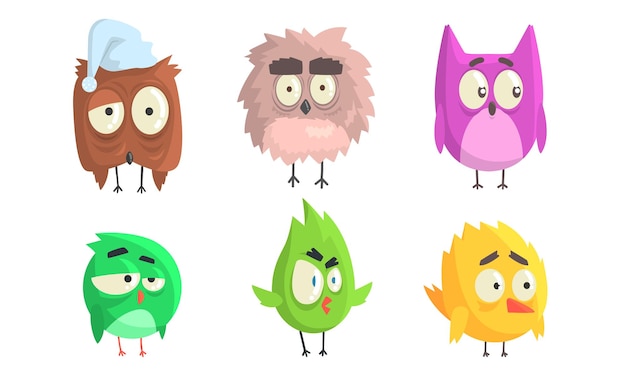 Vector cartoon birds with eyebrows vector illustration on white background