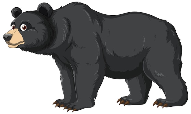 Cartoon Black Bear