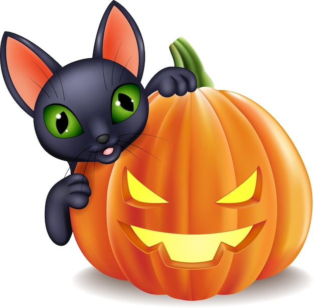 Cartoon black cat holding halloween pumpkin