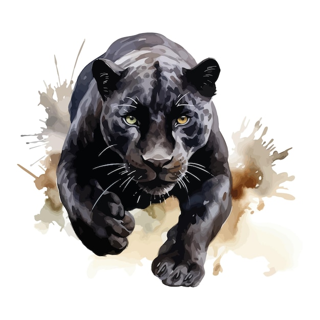 Vector cartoon black panther stalking in watercolor painting style