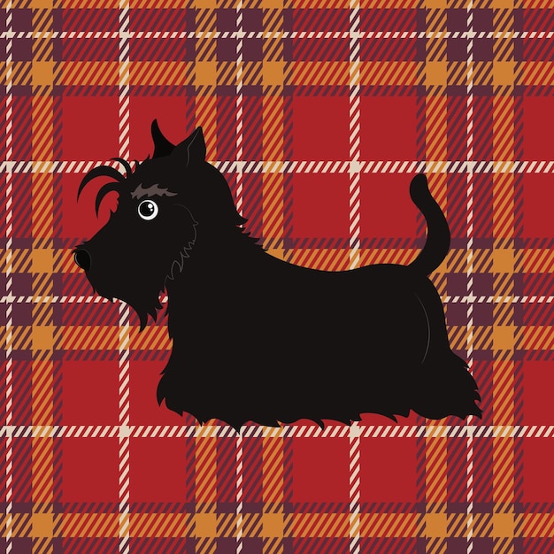 Cartoon black scottish terrier on tartan background. scottish terrier in cartoon style.